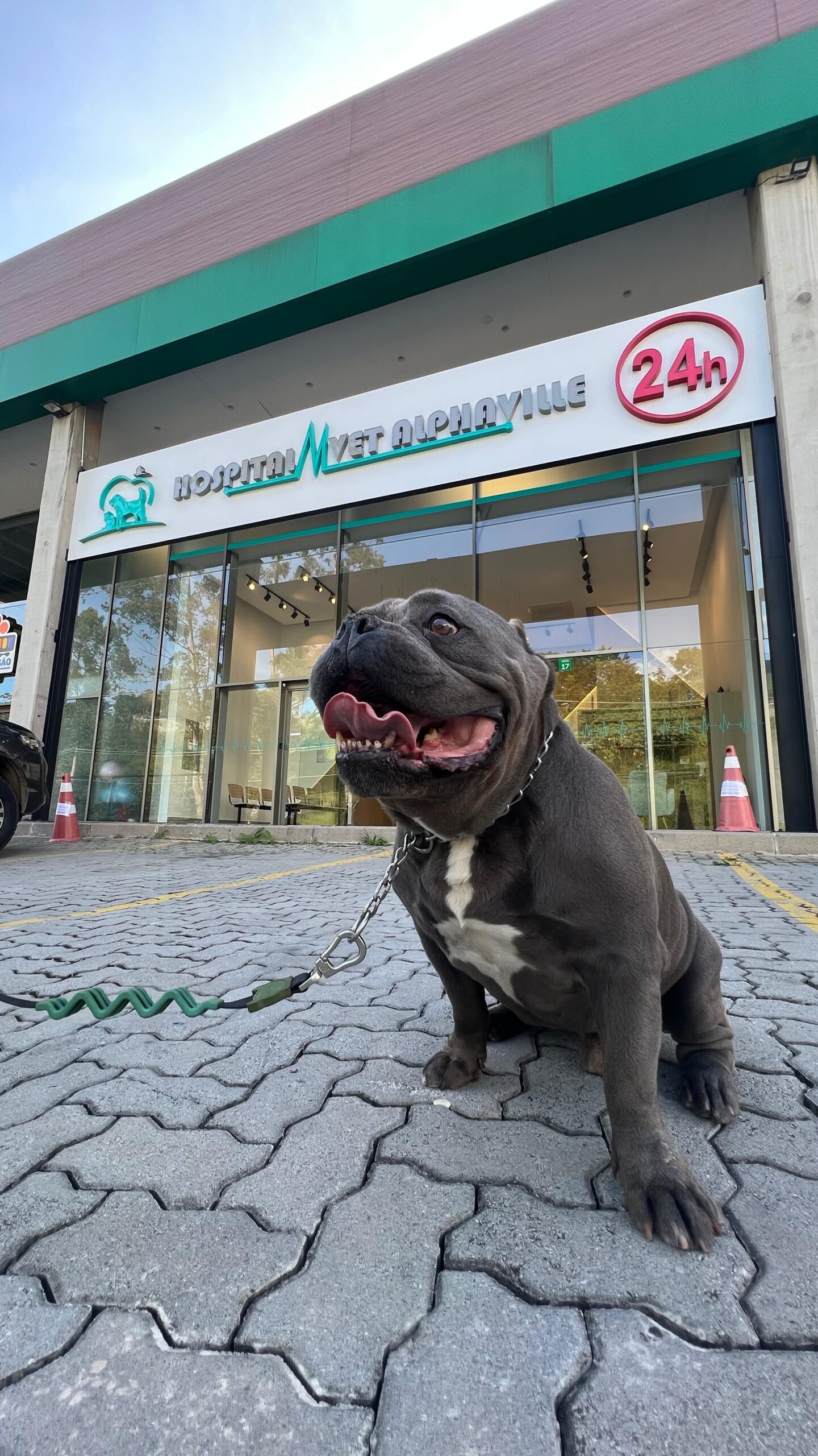 WhatsApp Image 2025-08-06 at 14.32.52